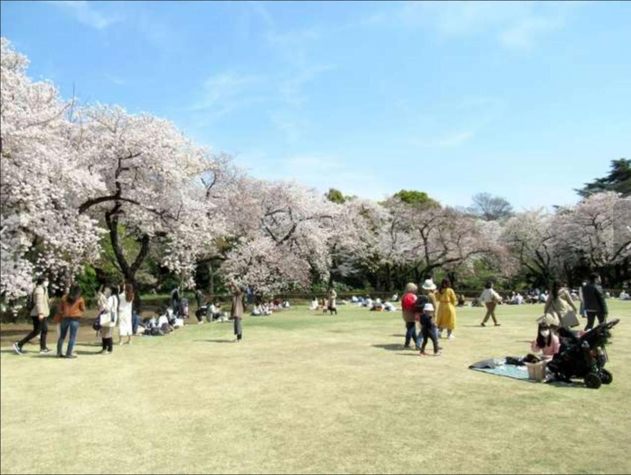 诚信东新宿 Tokyo Eksteriør bilde