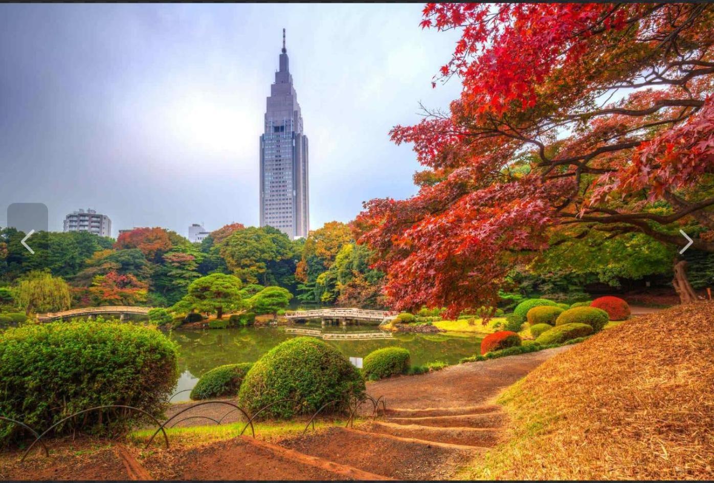 诚信东新宿 Tokyo Eksteriør bilde
